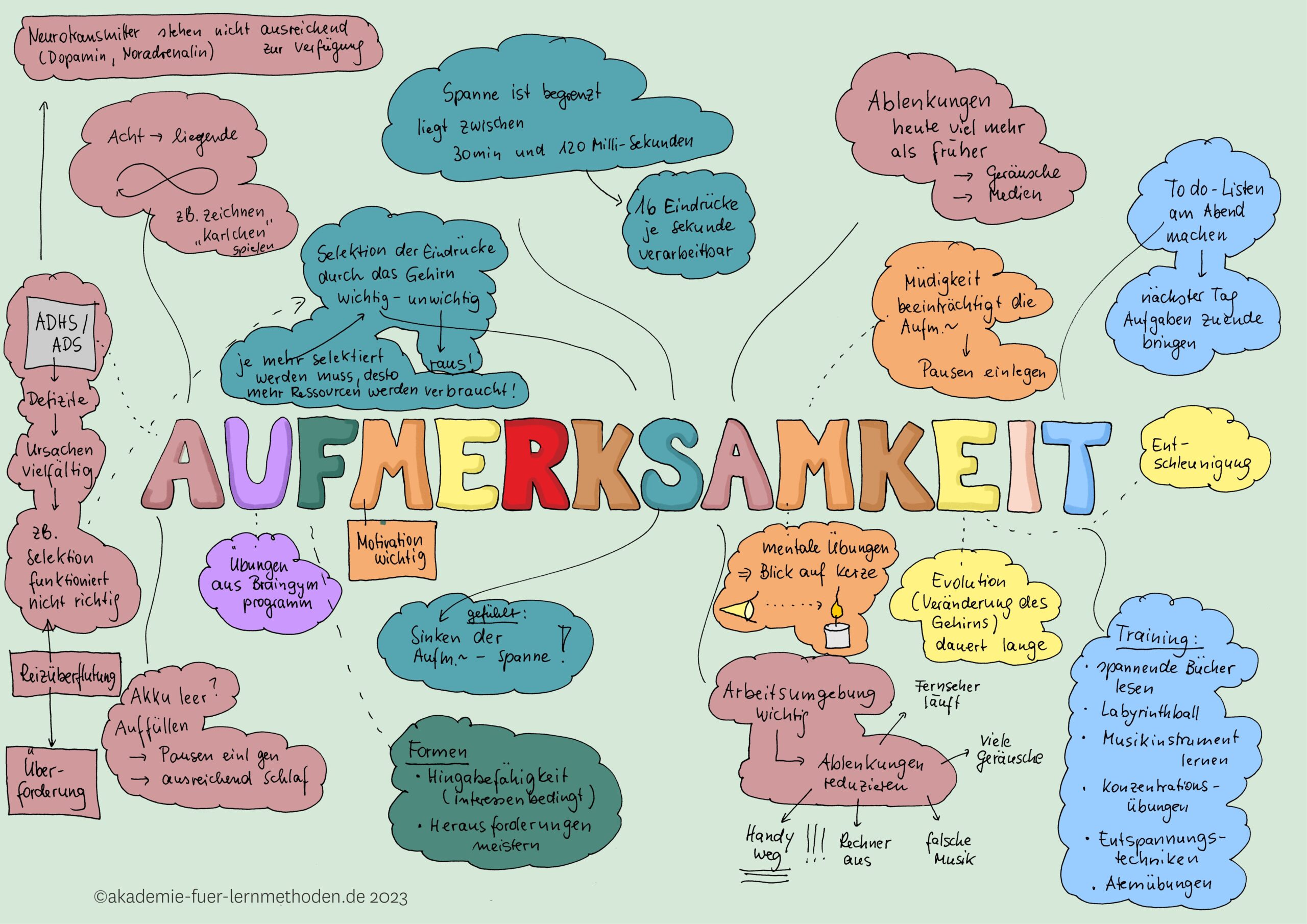 kawa_aufmerksamkeit (1)