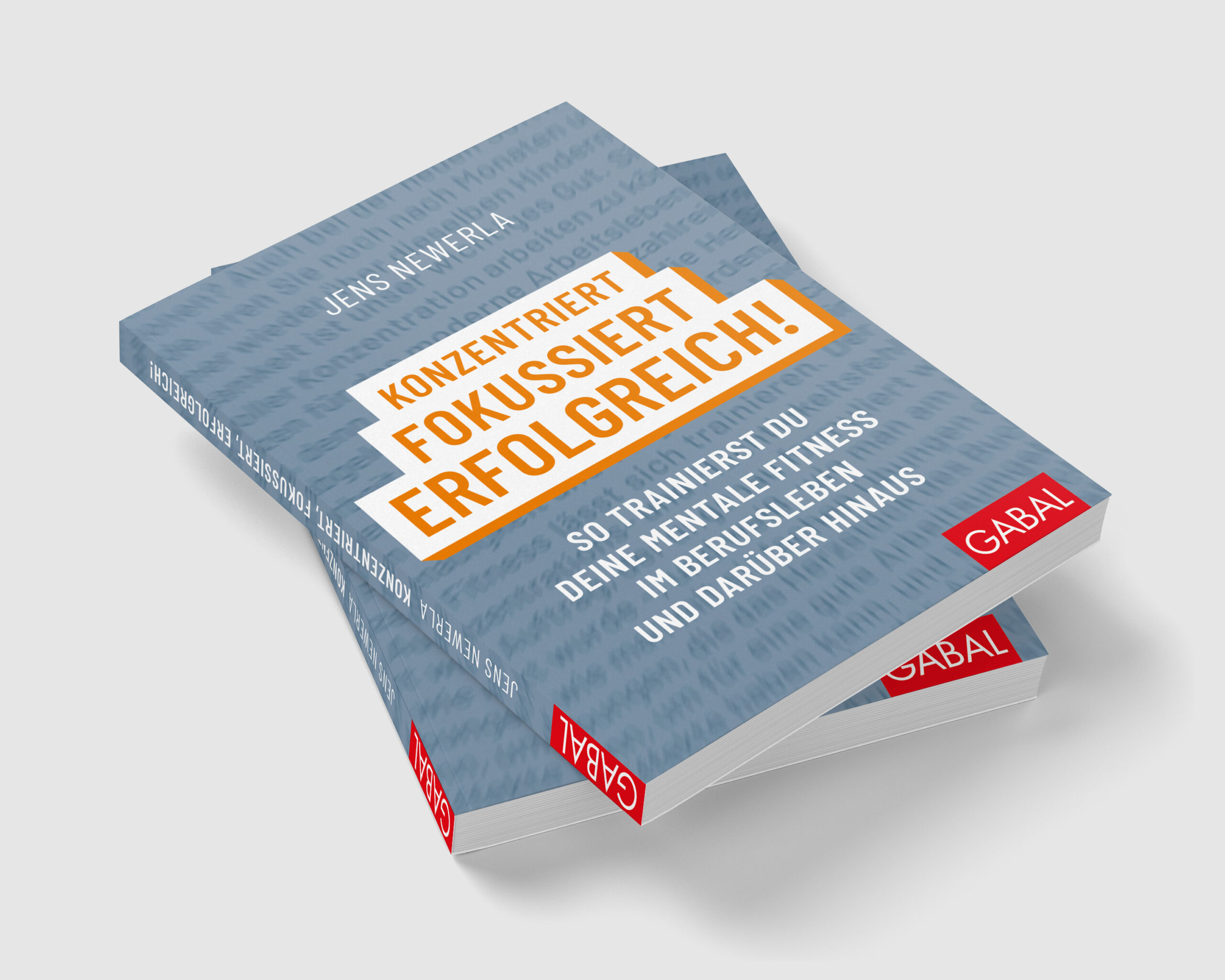 Buch cover2